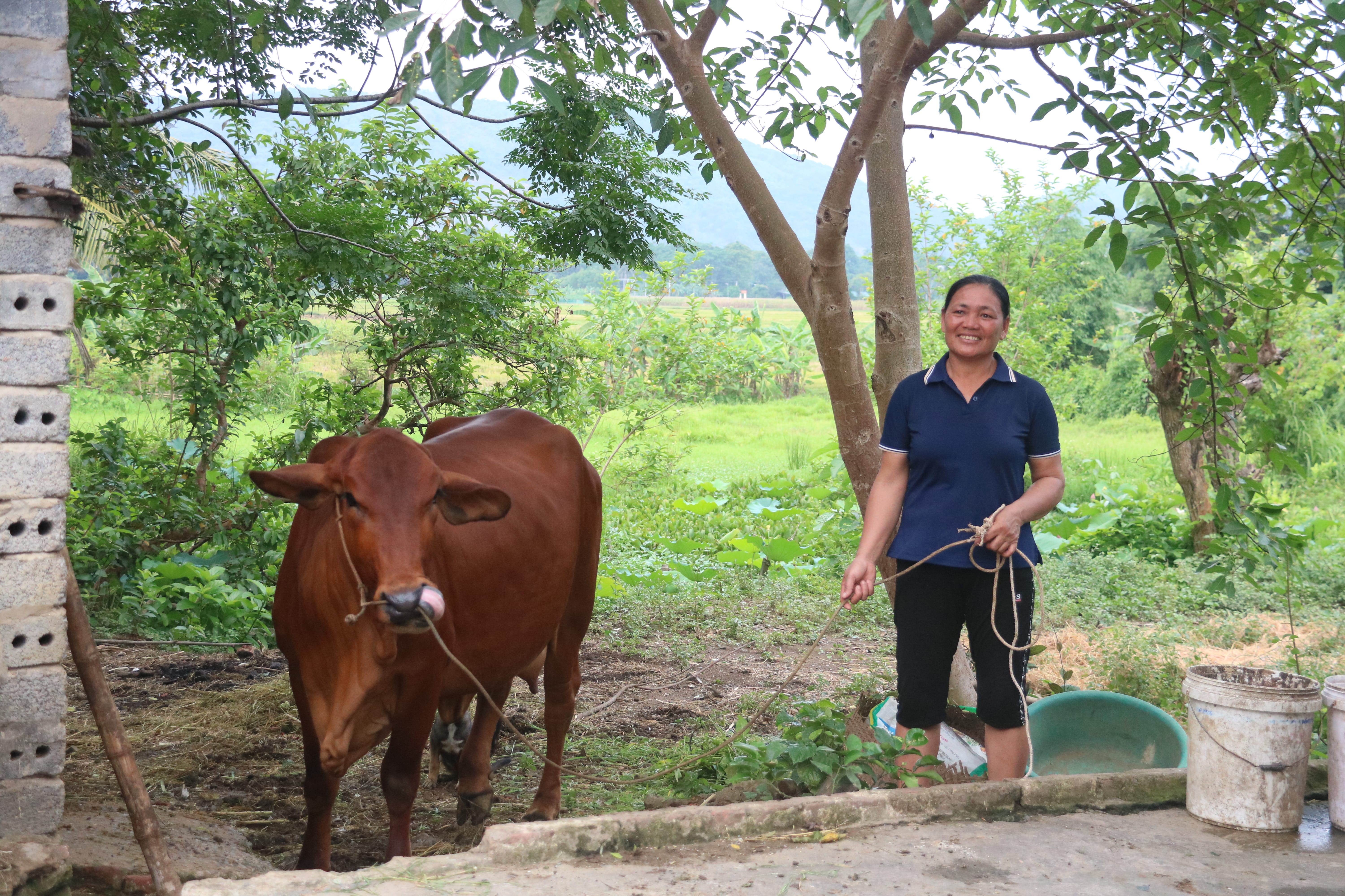Tiết kiệm Bắt buộc